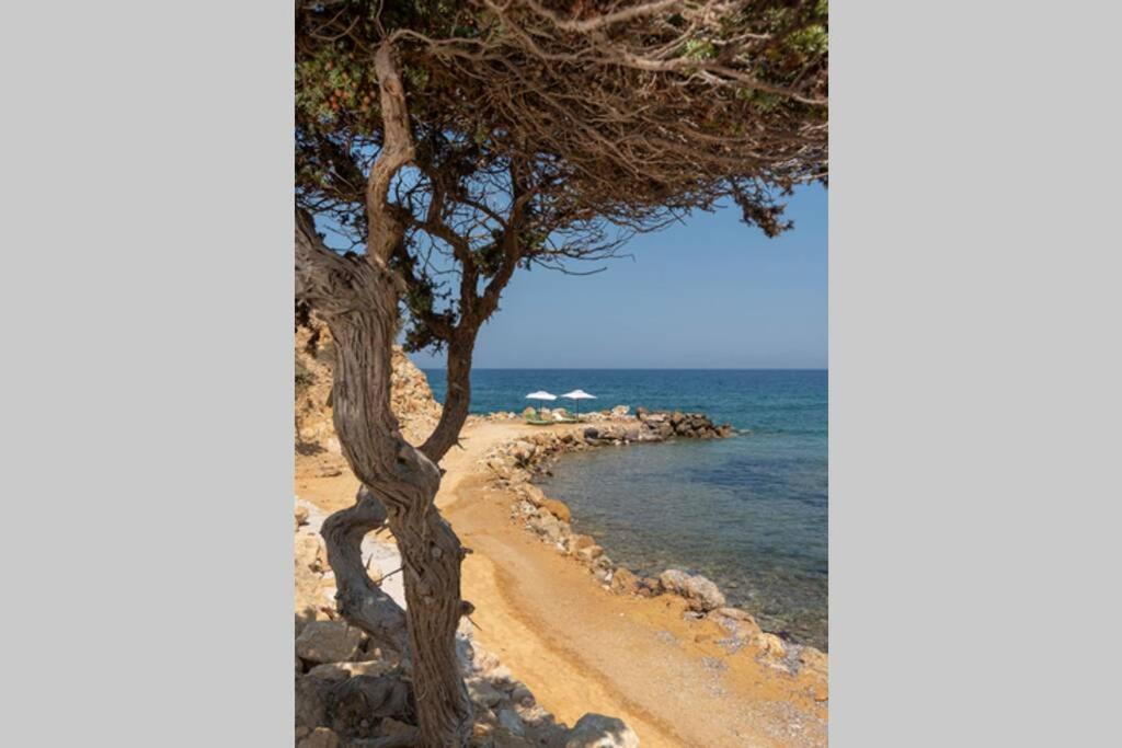 فيلا Ktima Sfakia Kéfalos المظهر الخارجي الصورة