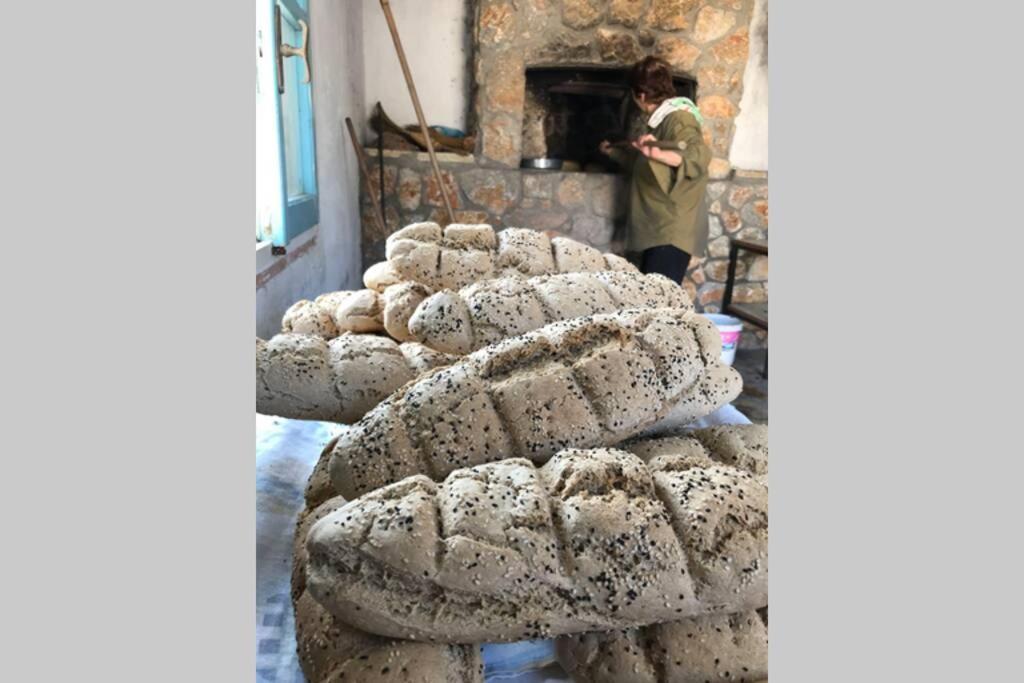 فيلا Ktima Sfakia Kéfalos المظهر الخارجي الصورة
