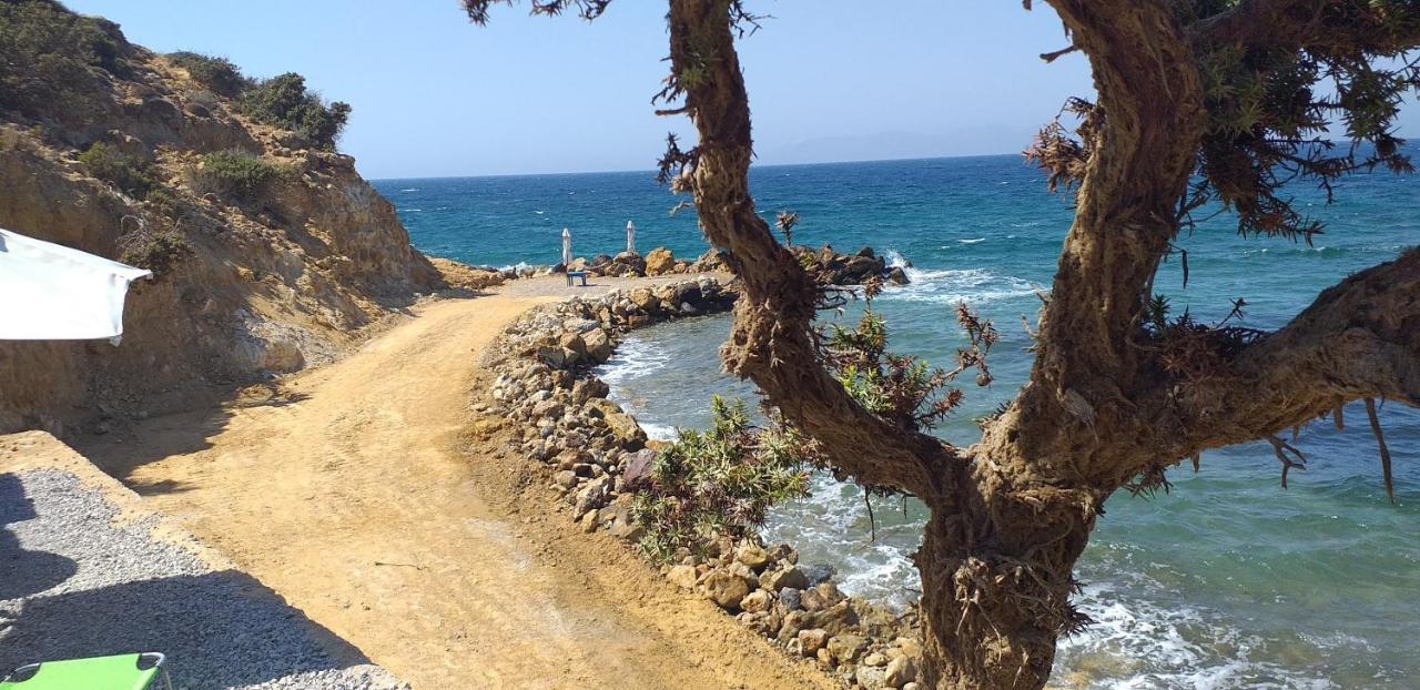 فيلا Ktima Sfakia Kéfalos المظهر الخارجي الصورة