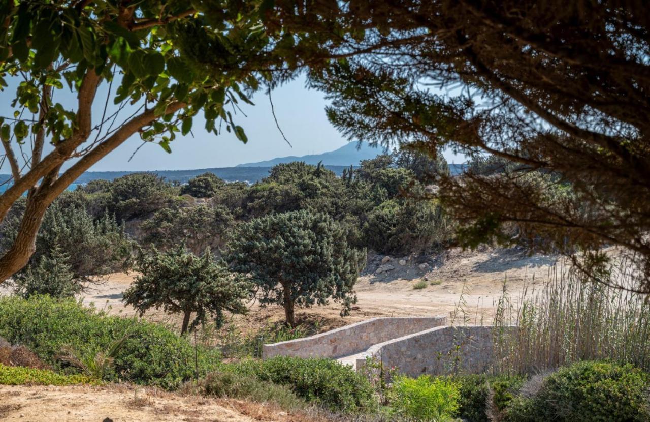 فيلا Ktima Sfakia Kéfalos المظهر الخارجي الصورة