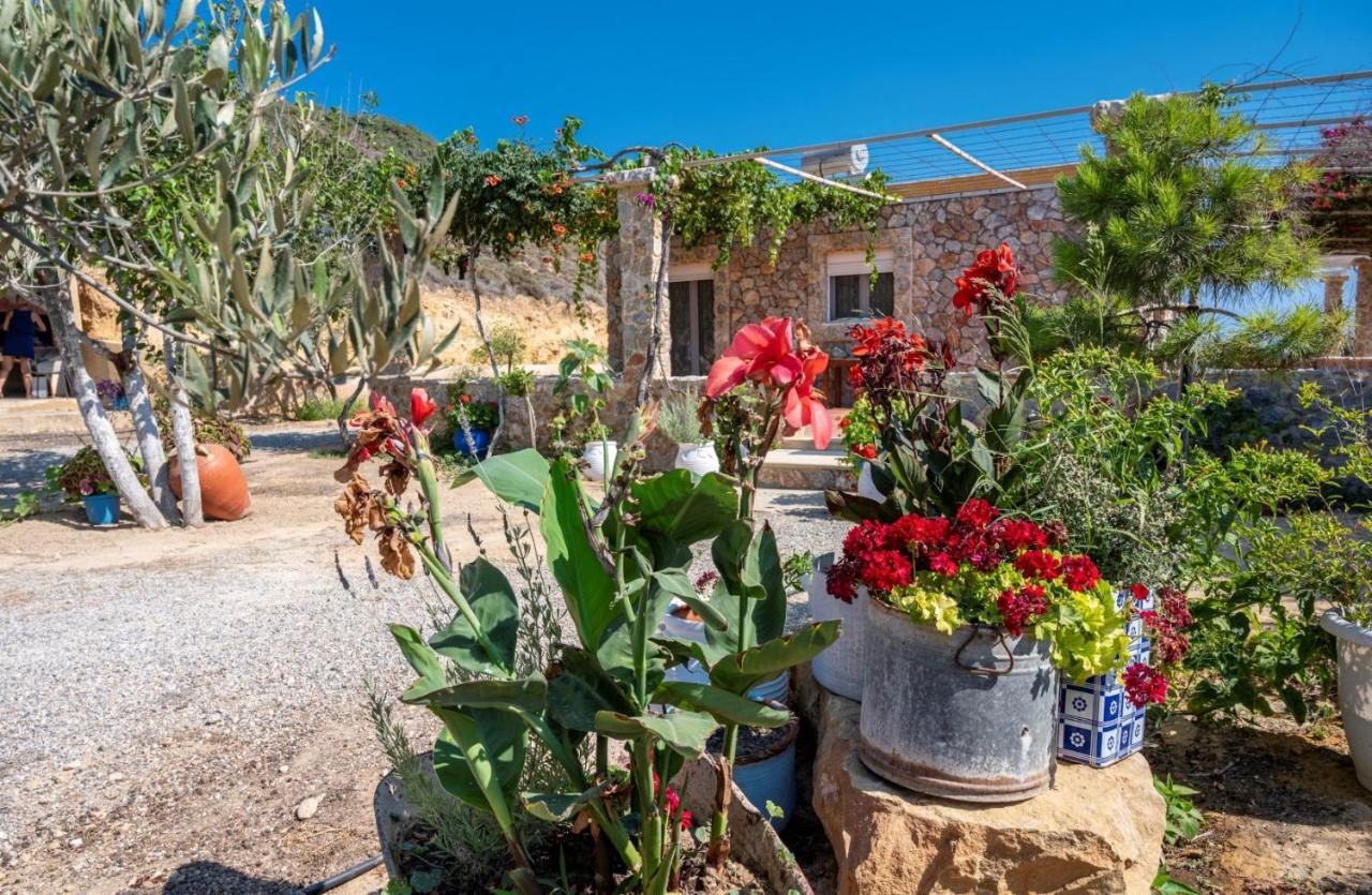 فيلا Ktima Sfakia Kéfalos المظهر الخارجي الصورة